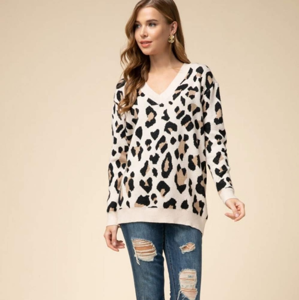 Entro Leopard Print V-Neck Sweater - Black and Cream
